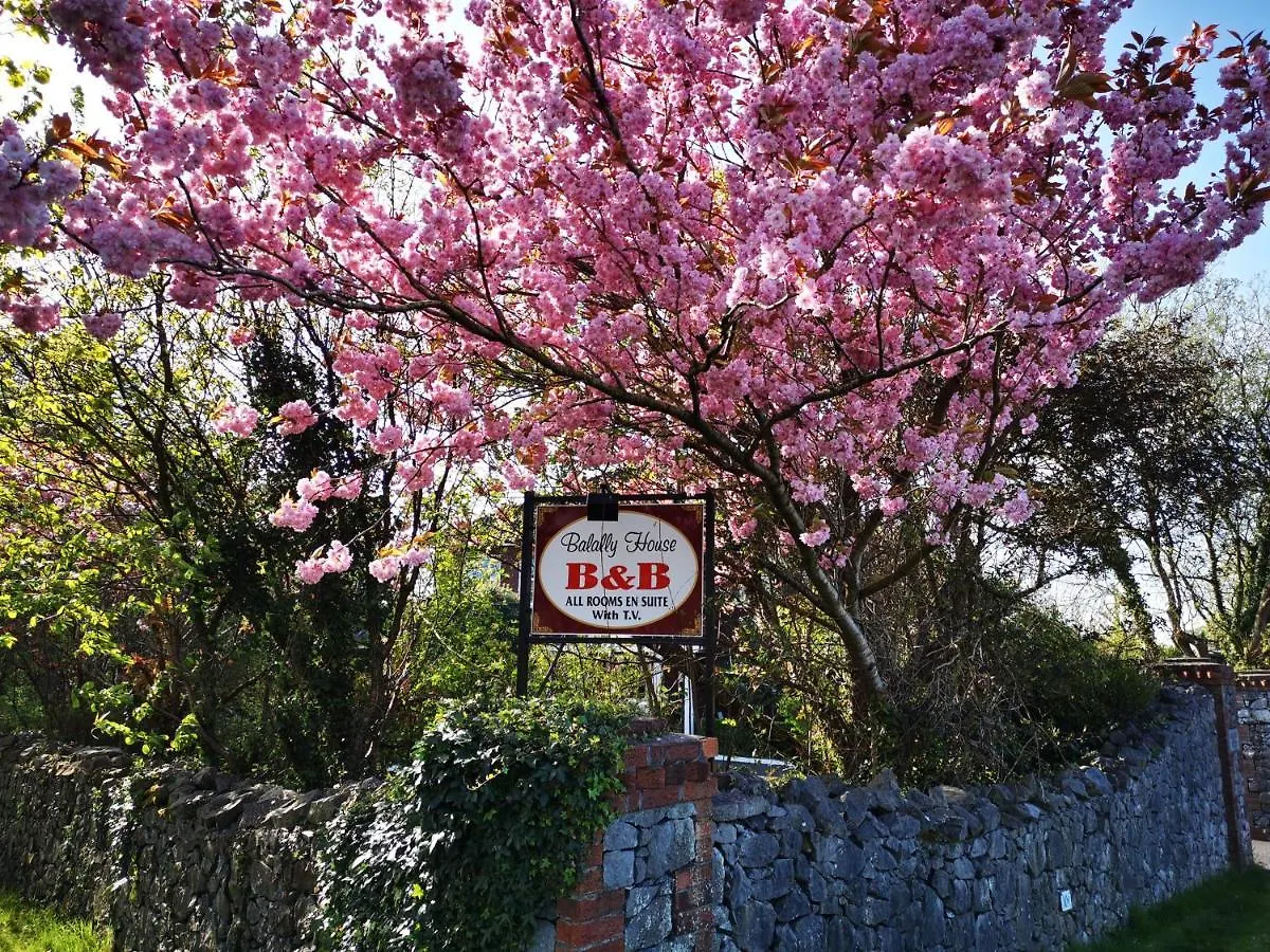 Bed and breakfast Balally House Shannon