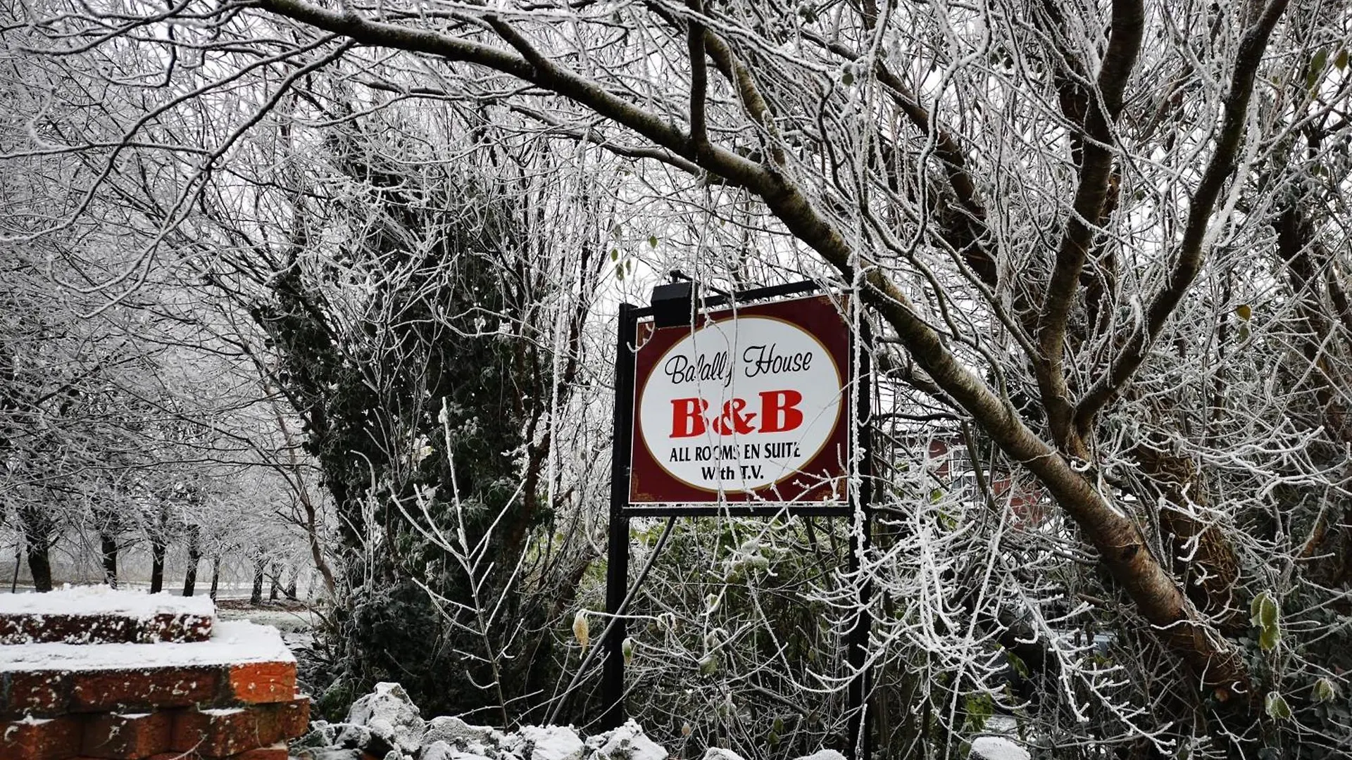 Bed & Breakfast Balally House Shannon